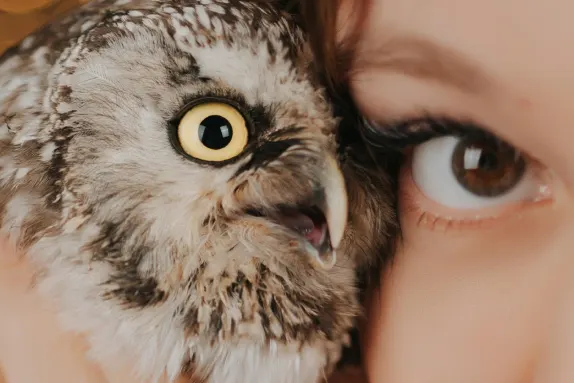 Efbet Casino Kundeservice